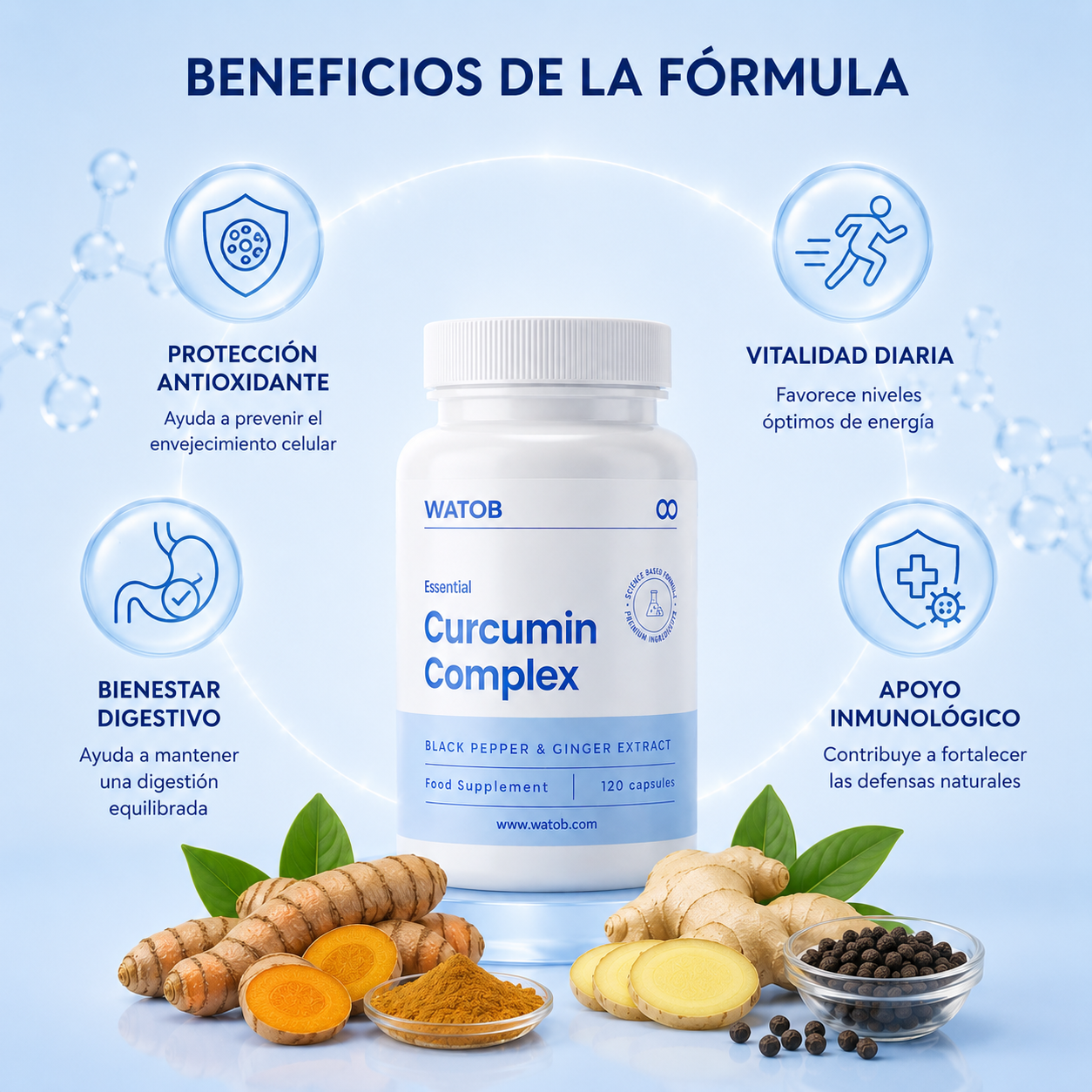 Curcumin Complex - Apoyo digestivo y confort estomacal
