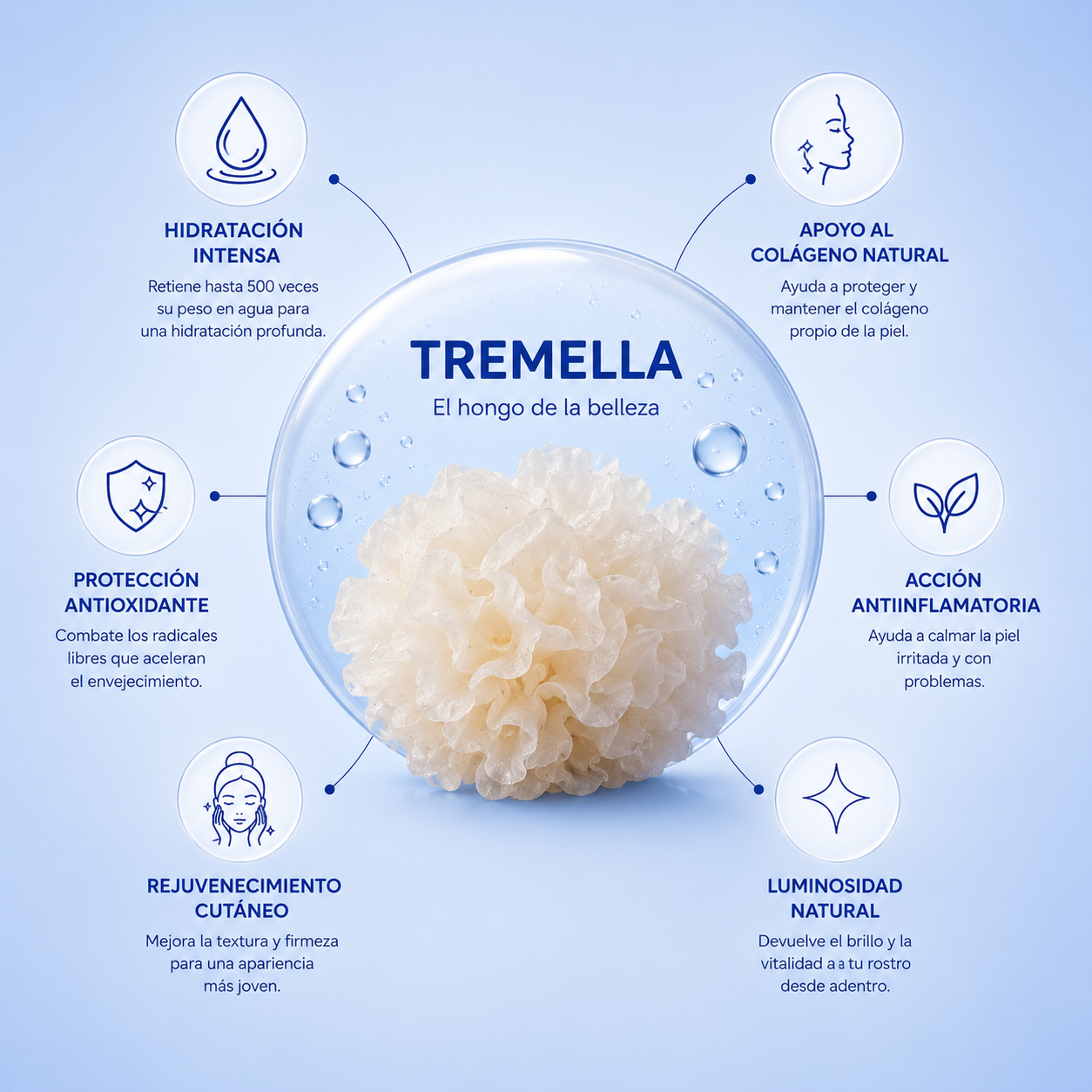 Tremella - El "Hongo de la Belleza" Un secreto milenario a tu alcance