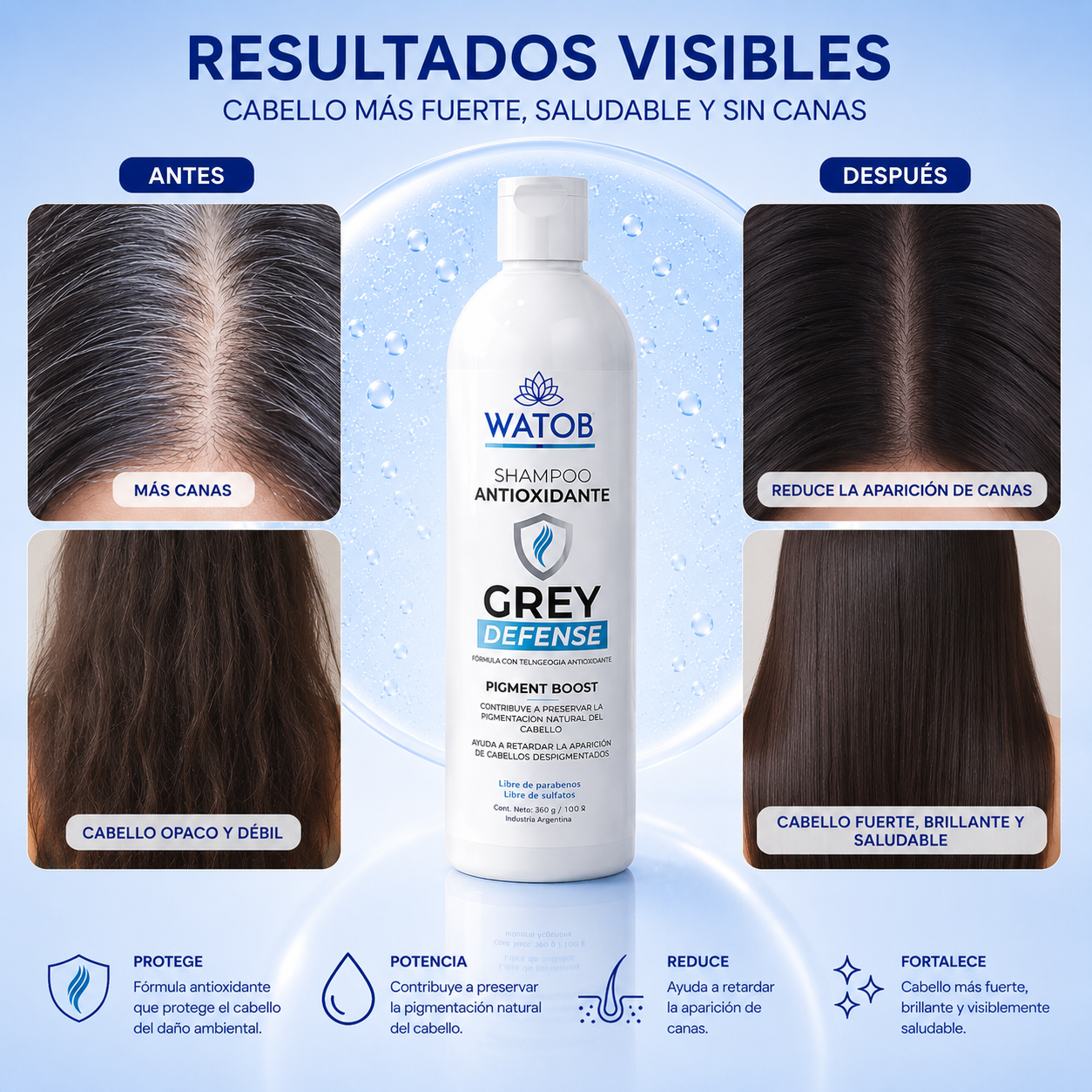 Shampoo Anticanas Grey Defense - Mantén tu cabello joven, vibrante y con su color natural por más tiempo