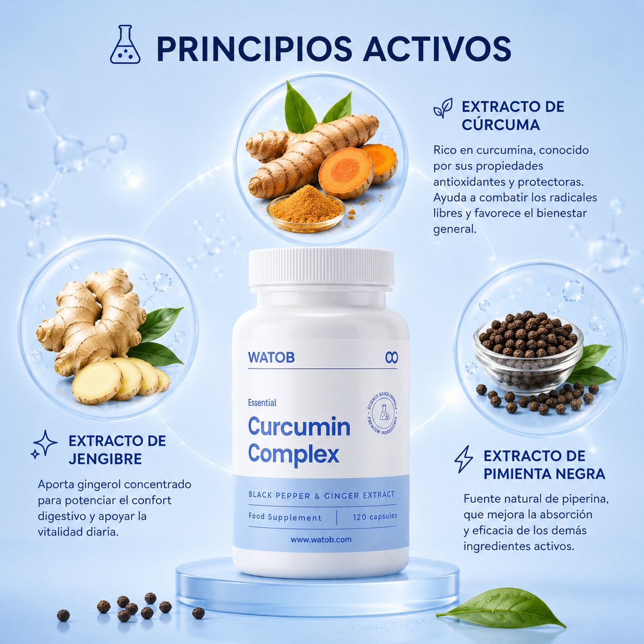 Curcumin Complex - Apoyo digestivo y confort estomacal